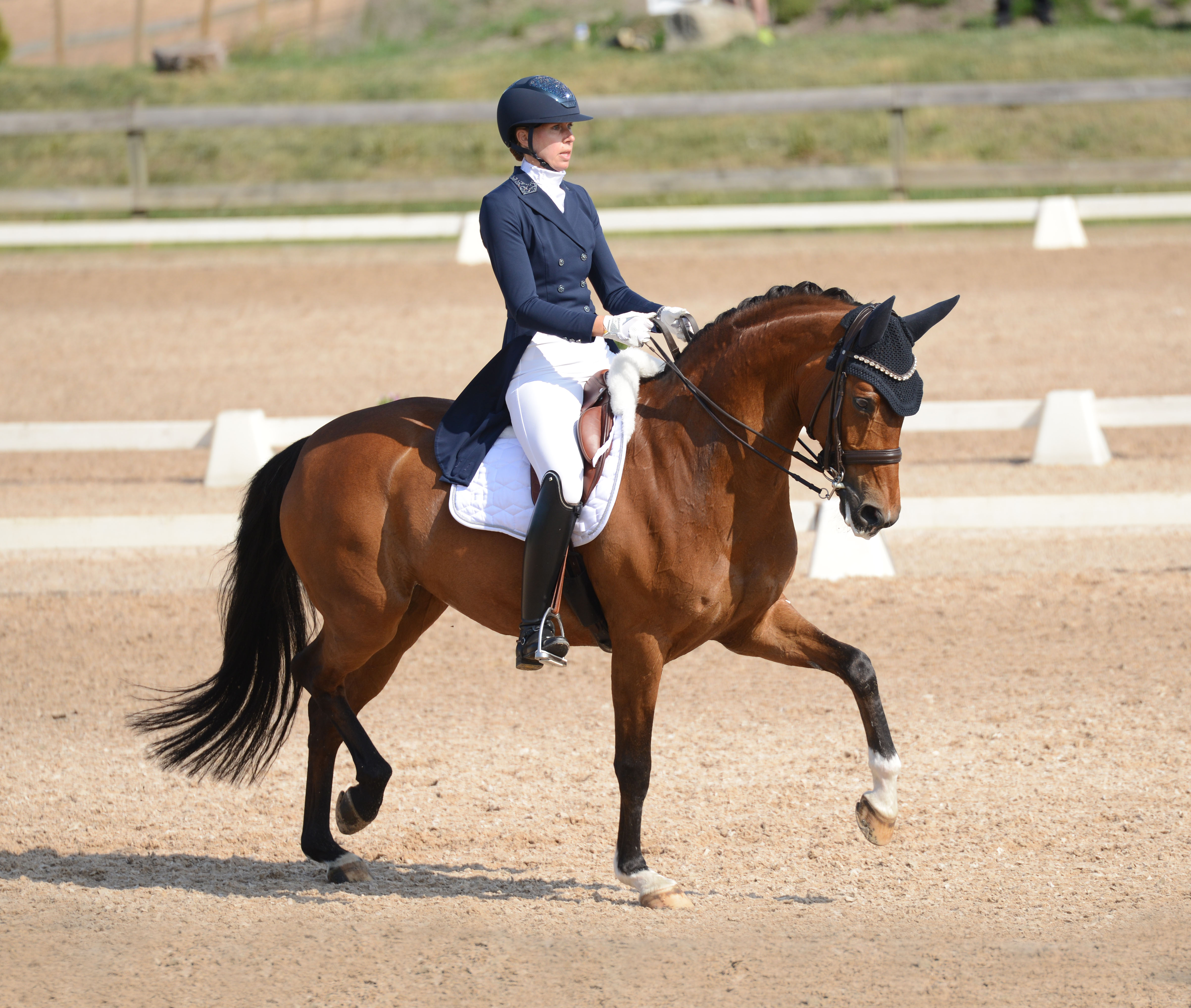 Nina Hofmann Küppers och Hirtenlife, tävling Kimstad Wisbohammar Dressage.