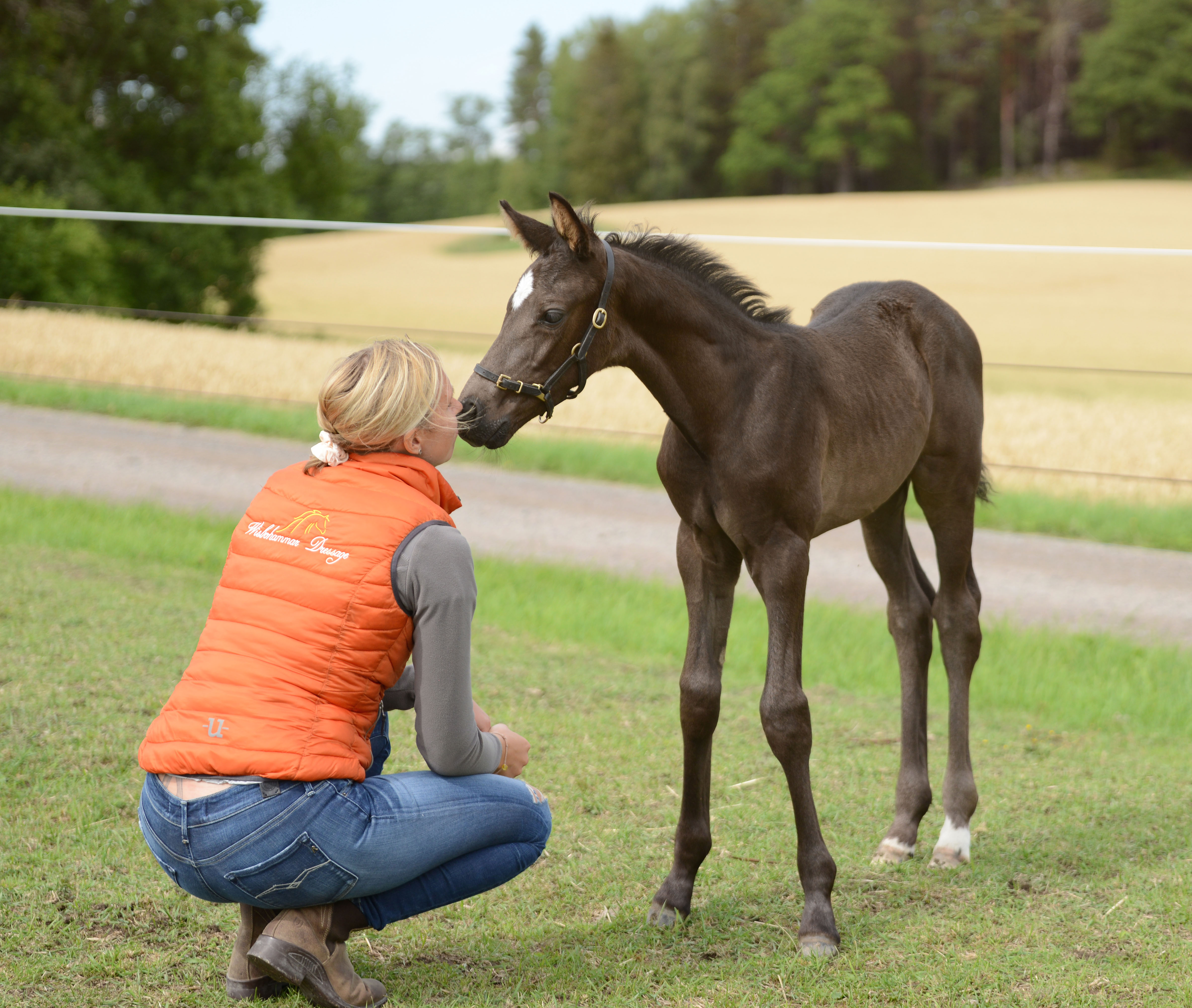 Nina Hofmann Küppers och San Adore e. Kane - San Remo. Wisbohammar Dressage