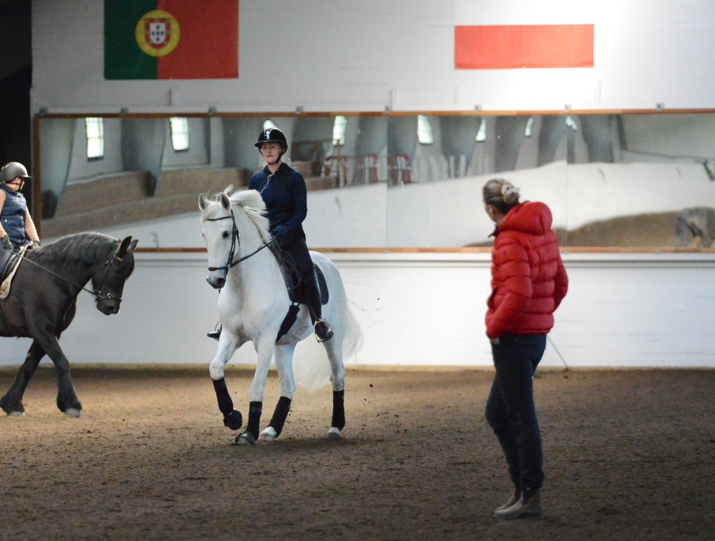 Dressyrträning Wisbohammar Dressage