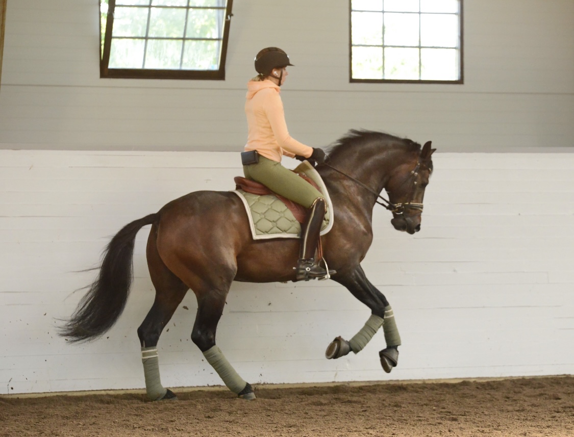 Nina Hofmann Küppers och Pjotr van de Kempenhoeve i stora ridhuset på Wisbohammar