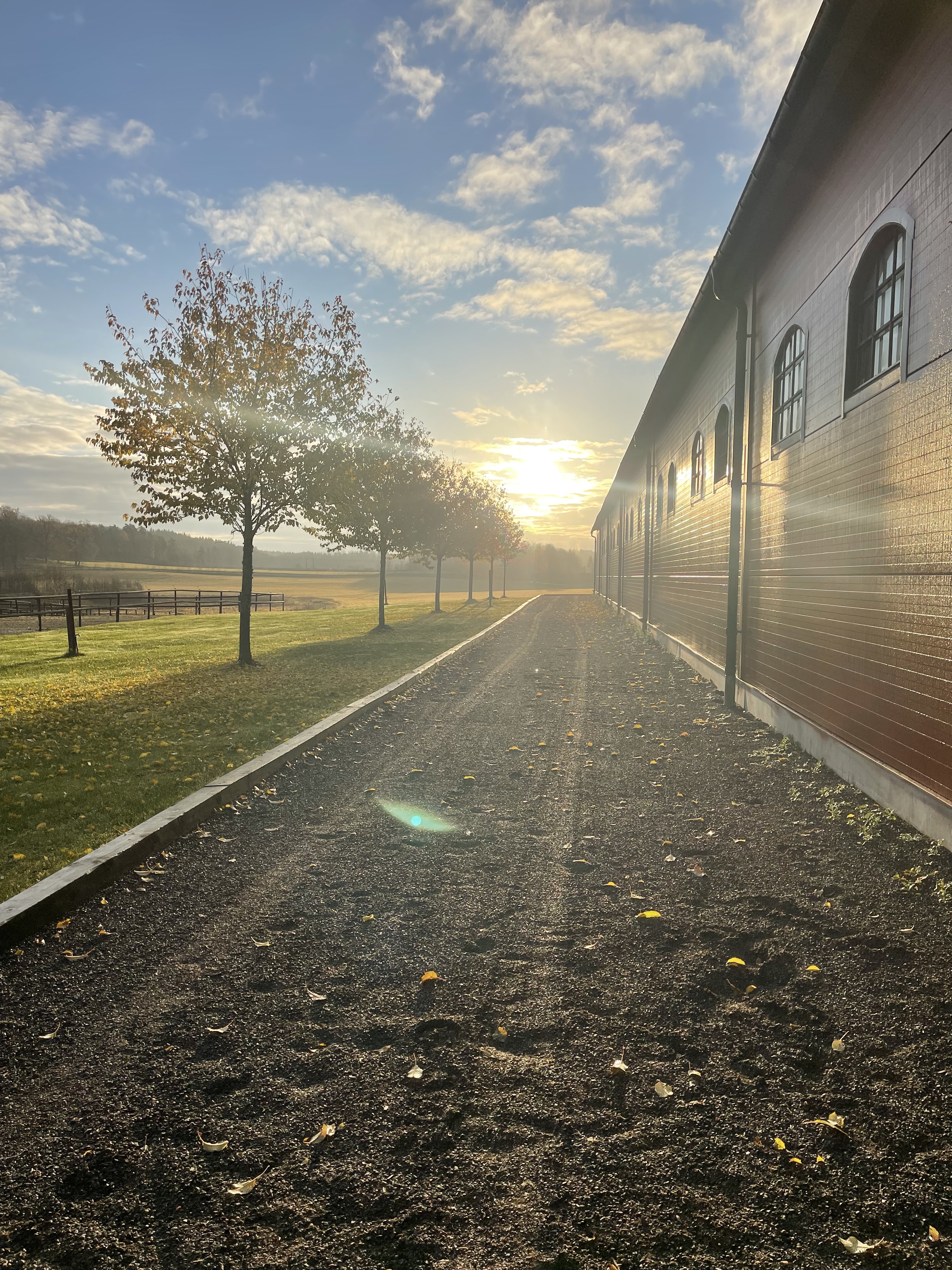 Stora ridhuset Wisbohammar