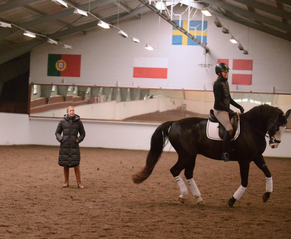Dressyrträning för ekipage på alla nivåer på vackra Wisbohammar
