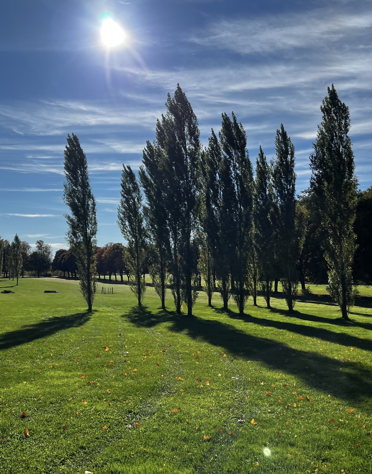 Vackra gräsytor på Wisbohammar